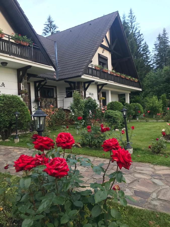 Complex Vile- Milana M Residence Poiana Brasov Extérieur photo